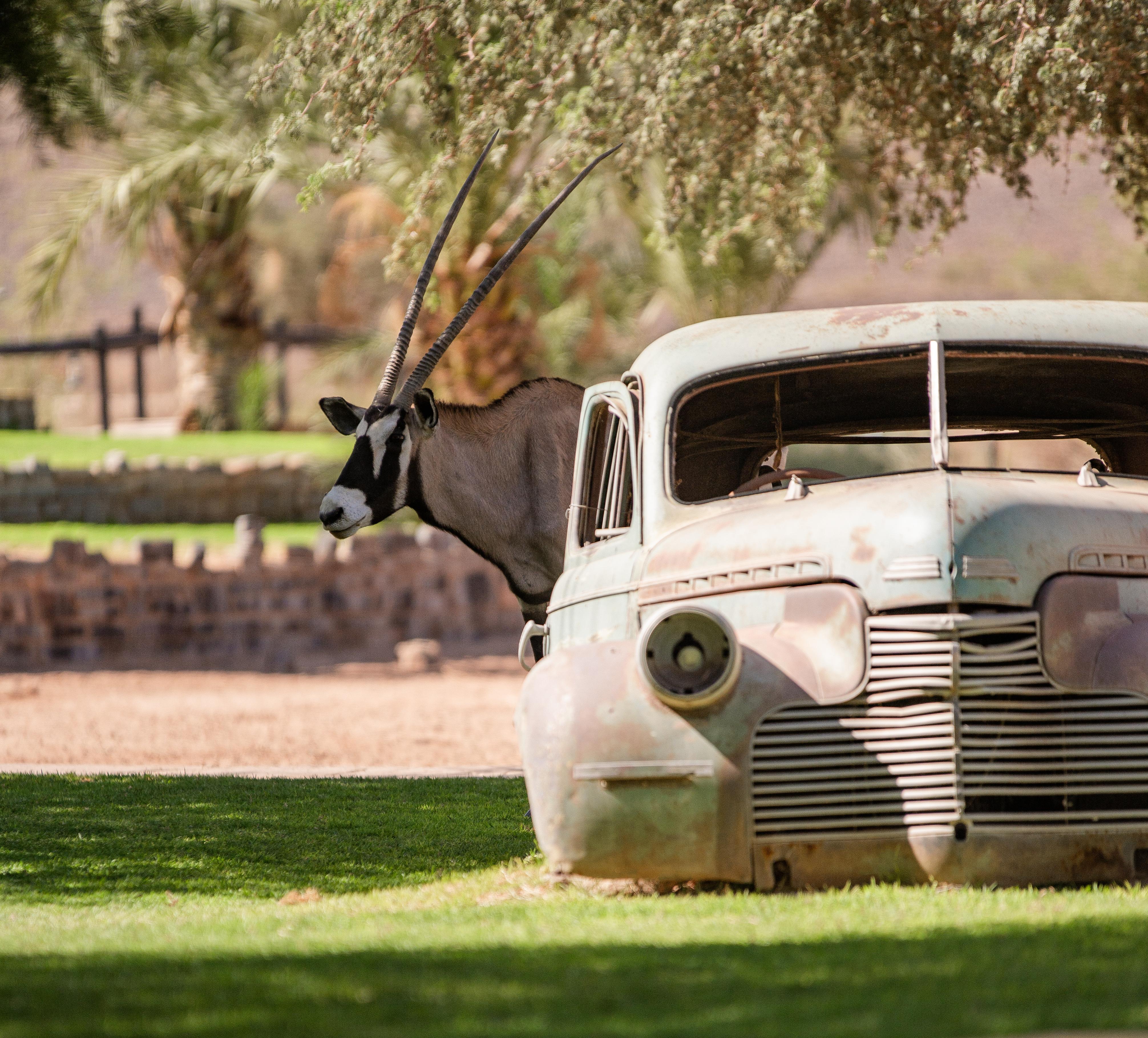 Canyon Roadhouse Fish River Canyon Buitenkant foto